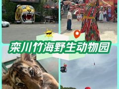 -栾川竹海野生动物园