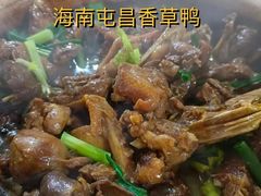 -盐禾堂海南屯昌香草鸭(总店)