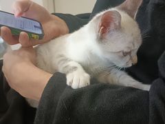 -佳雯宠物医院(四明中路分院)