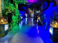 -梦幻海洋王国(吾悦广场张家港店)