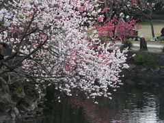 -无锡蠡湖国家湿地公园-蠡园