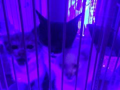 -星宿秘码(鼓浪屿老店)