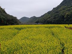 -广州市石门国家森林公园