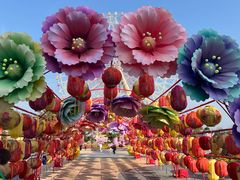 -七彩云南欢乐世界