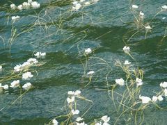 -丽江泸沽湖景区