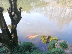 -杭州植物园