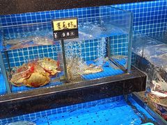 -柳柳饭店(华山中路店)