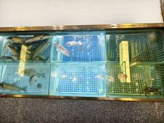 -顺峰顺水顺德菜(龙华店)