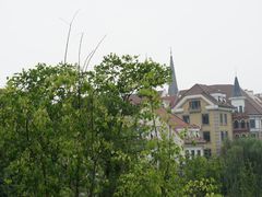 -九龙湖公园