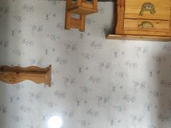 -金山农民画村-枫泾波兰倒置屋