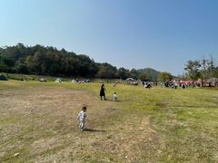 -黄陂区野村谷景区