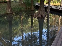 -云溪植物园