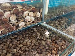 -港畔赶海蒸汽海鲜烧烤自助(仙螺岛店)