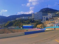 -枸杞岛