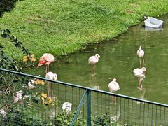 -石排湾郊野公园