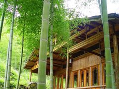 -祁门牯牛降观音堂风景区