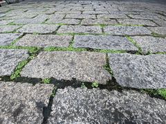 -龙潭水乡