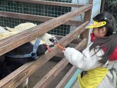 -杭州开元森泊度假乐园