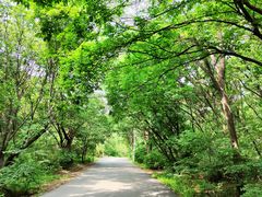 -沈阳辉山风景区