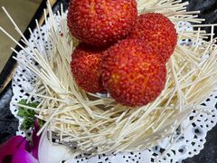 -蓉客成都火锅·招牌麻辣牛杂·特色香辣蹄花(凌水店)