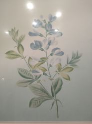 -颜蕾医美·黄金微针·水光·玻尿酸·超声炮·抗衰中心