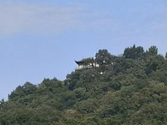 -西湖风景区-江洋畈生态公园
