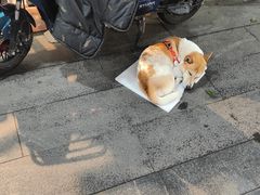-醉贤居