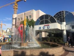 -上海交通大学医学院附属上海儿童医学中心(陆家嘴总院区)