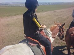 -额尔古纳黑山头绿野马帮骑马场