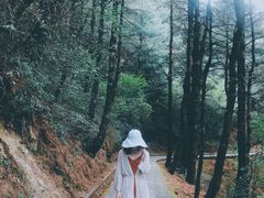 -苍山感通索道