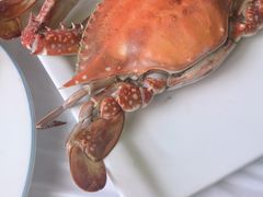 -宾朋海鲜饭庄(兴海路店)