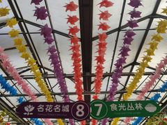 -南宫五洲植物乐园