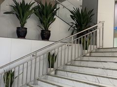 -美可普口腔医院(东街分店)