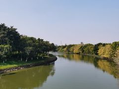 -海珠湖公园