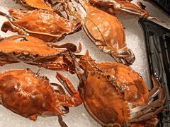 -星伦多自助料理(龙湖虹桥天街店)