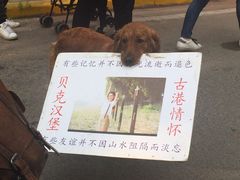 -黄埔古港