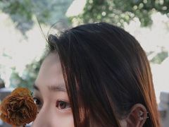 -晓港公园