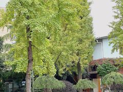 -成都市实验小学(人民中路校区)