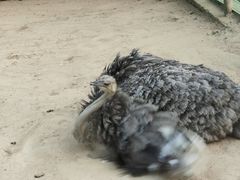 -羊亭河湿地公园