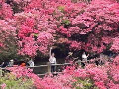 -木兰云雾山