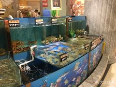 -金鹰超市(国际购物中心新街口店)