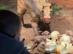 -自贡恐龙博物馆