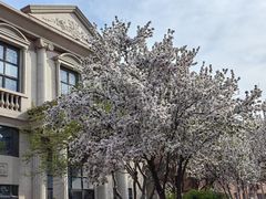 -天津五大道文化旅游区