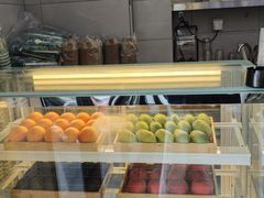 -雾与山茶(大禹城店)
