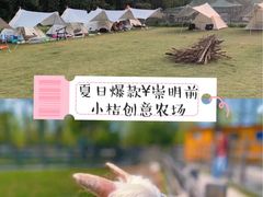 -前小桔亲子创意农场·草莓采摘·露营烧烤