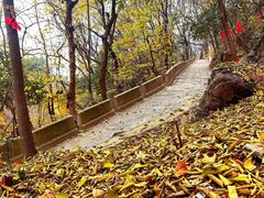 -宝通禅寺