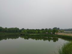 -东郊湿地公园