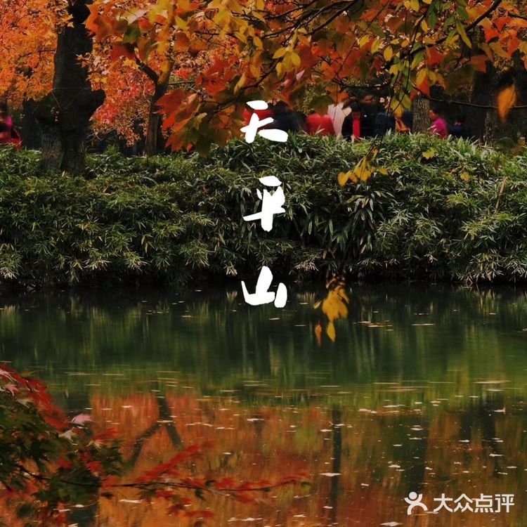 秋意浓 | 苏州天平山赏枫