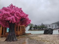 -玉龙雪山蓝月谷