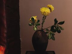 -见山茶事(丽水路店)